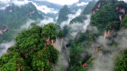 張家界武陵源 “旅游+”模式，激活全域旅游新動能