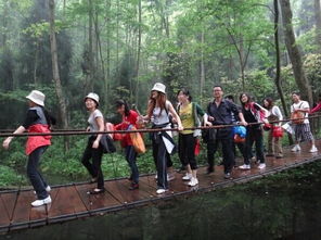 張家界旅游全攻略 注意事項(xiàng)、必買(mǎi)特產(chǎn)與經(jīng)典游玩路線