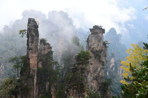 去張家界需要準(zhǔn)備什么？了解這些游玩須知，比準(zhǔn)備衣服要重要